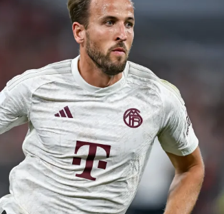 这样的互动 这样的互动