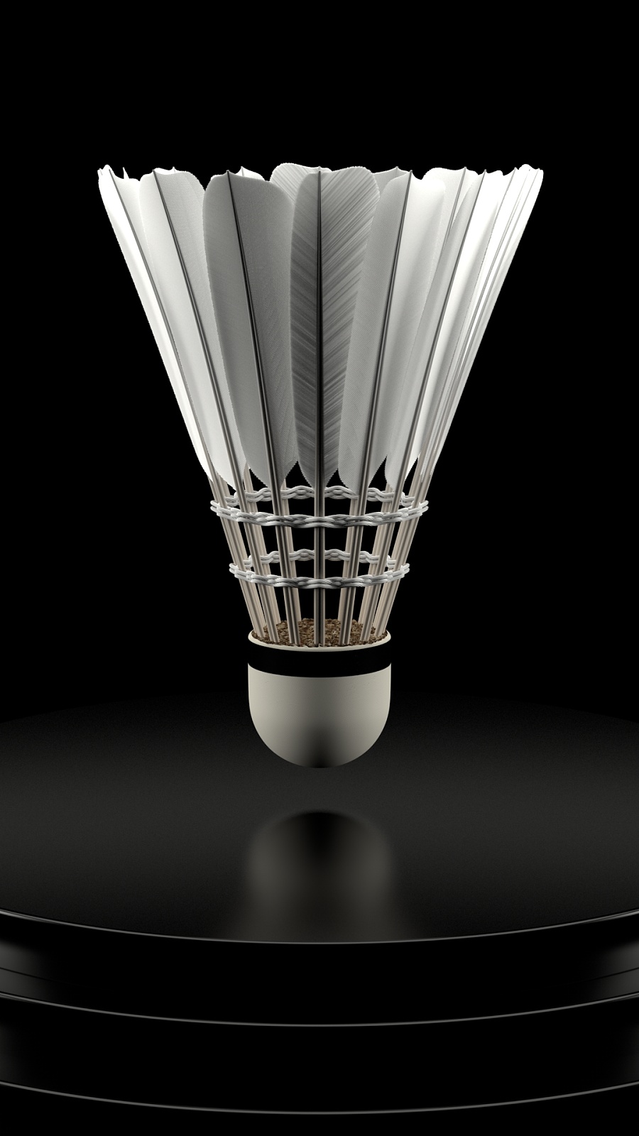 广泛关注 广泛关注